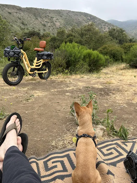 Leo Carillo Campground Picture 2
