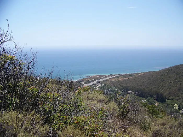 Leo Carrillo State Park Campground Picture 7