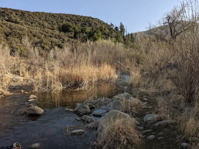 Bear Creek Trail Camp Picture 5