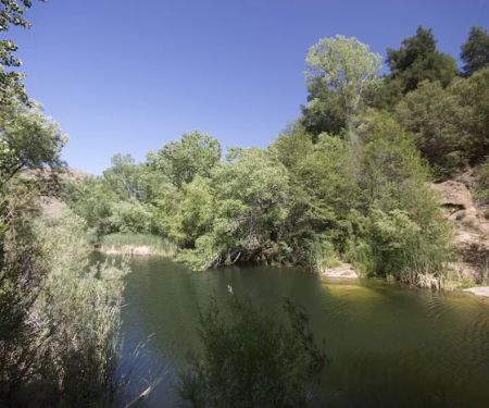 Bear Creek Trail Camp