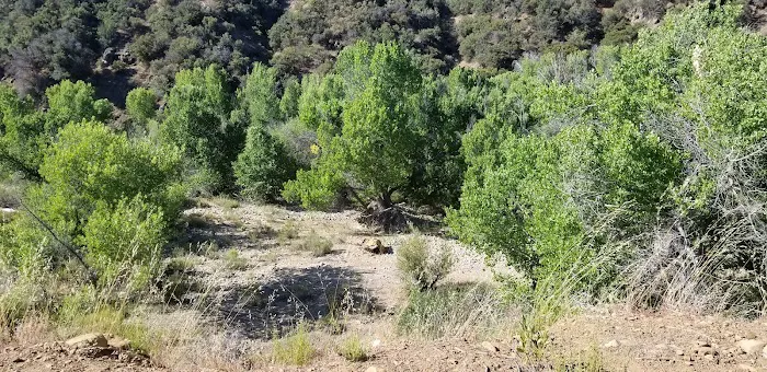 Bear Creek Trail Camp Picture 10