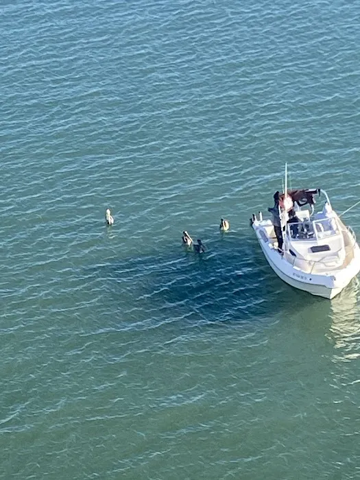 By The Beach RV Park Picture 4