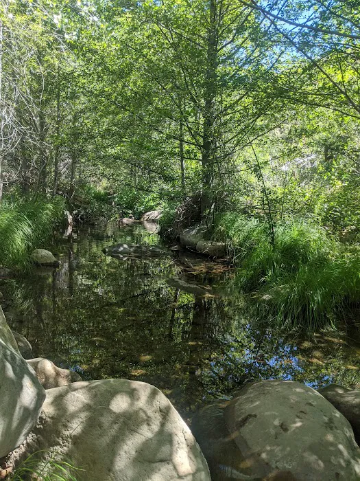 Piedra Blanca Camp Picture 6