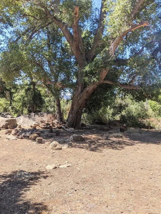 Piedra Blanca Camp Picture 5