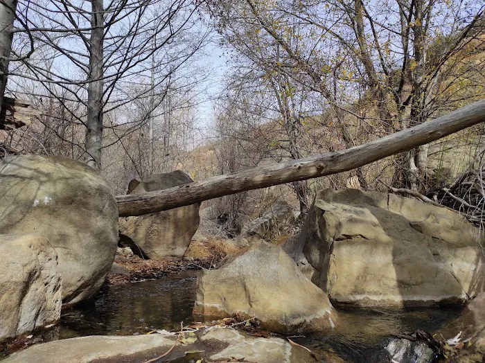 Piedra Blanca Camp Picture 2