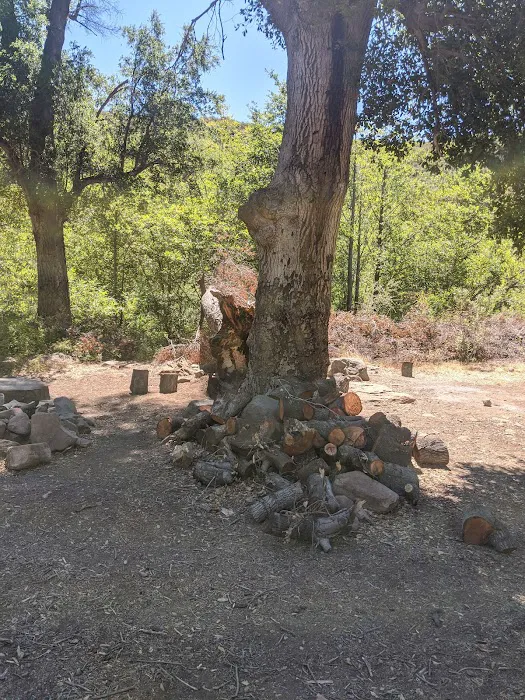 Piedra Blanca Camp Picture 10