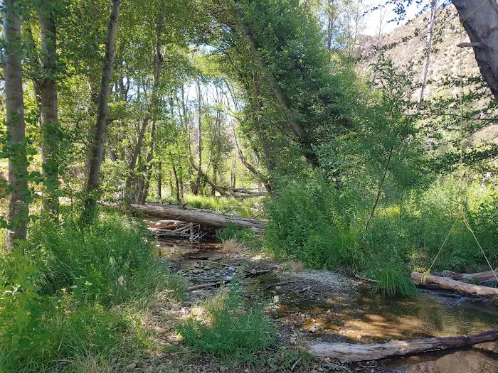 Middle Lion Campground Picture 8