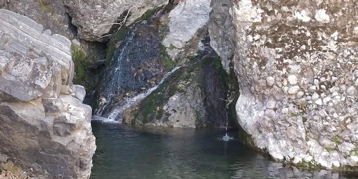 Middle Lion Campground Picture 6