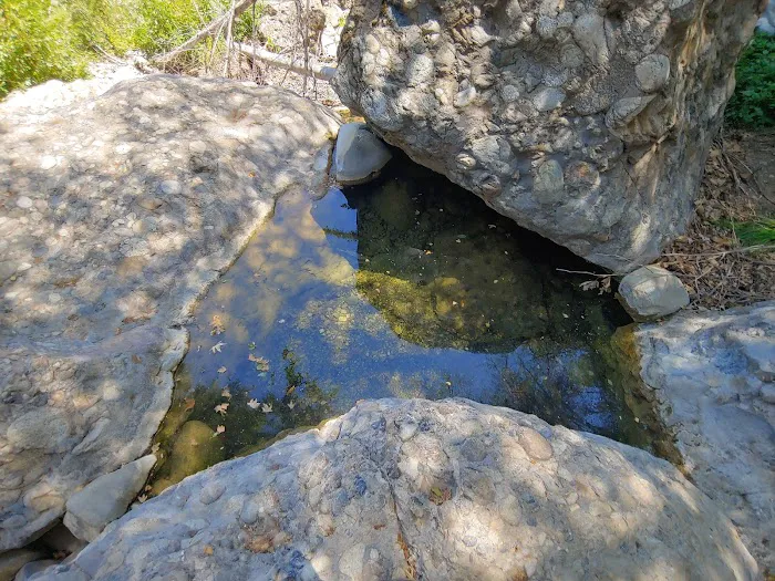 Middle Lion Campground Picture 5