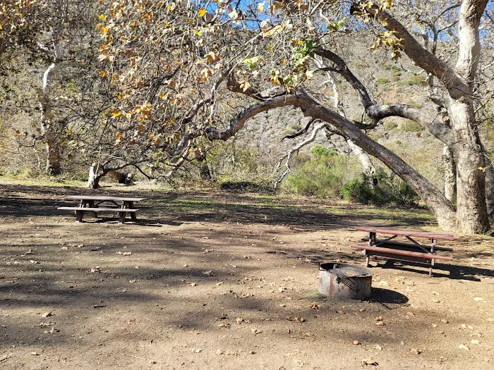 Sycamore Canyon Campground Picture 6