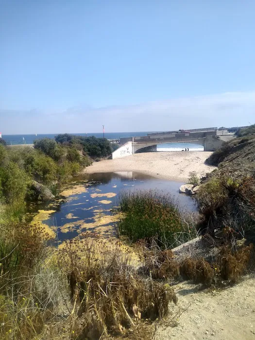 Sycamore Canyon Campground Picture 7