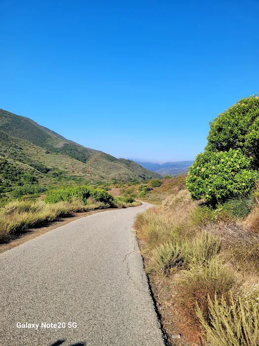 Sycamore Canyon Campground Picture 5