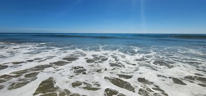 Sycamore Canyon Campground Picture 1