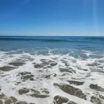 Sycamore Canyon Campground