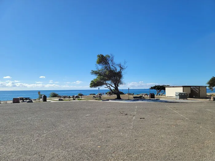 Sycamore Cove Picture 3