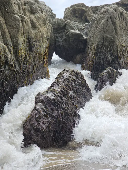 Sycamore Cove Picture 8
