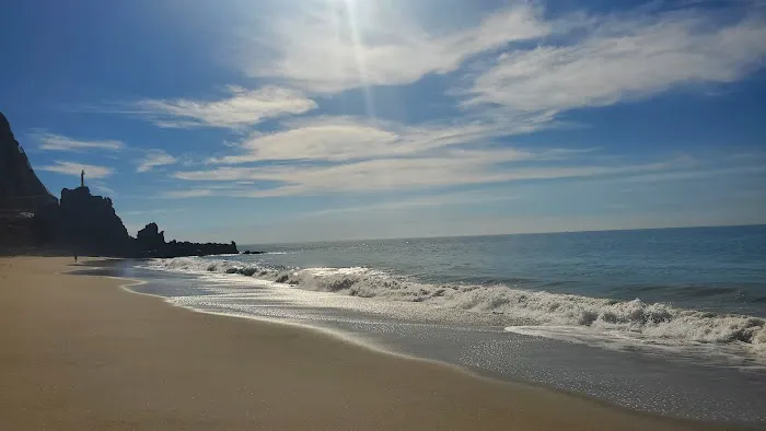 Sycamore Cove Picture 5
