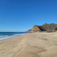 Sycamore Cove ico