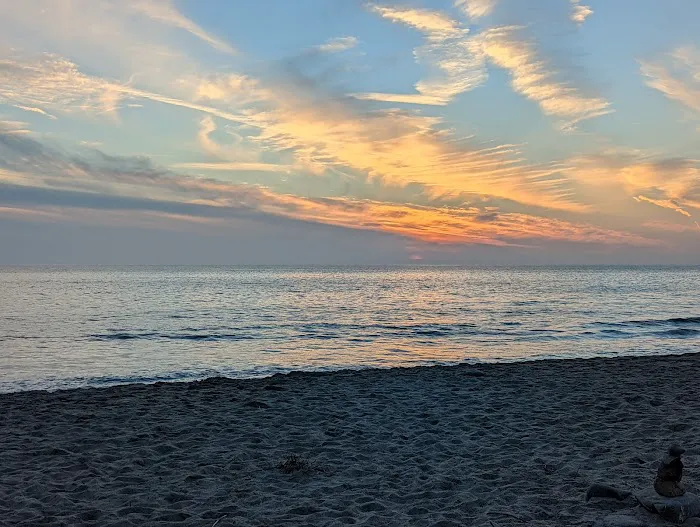 Sycamore Cove Picture 10