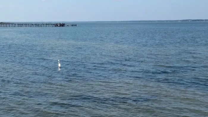 Coastal Mobile Estates Picture 3