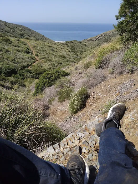 La Jolla Group Campsite Picture 6