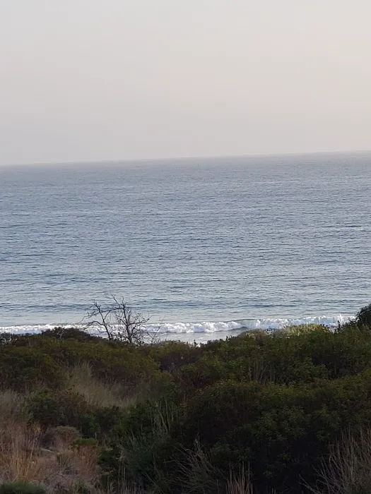 La Jolla Group Campsite Picture 5