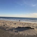 Thornhill Broome Campground