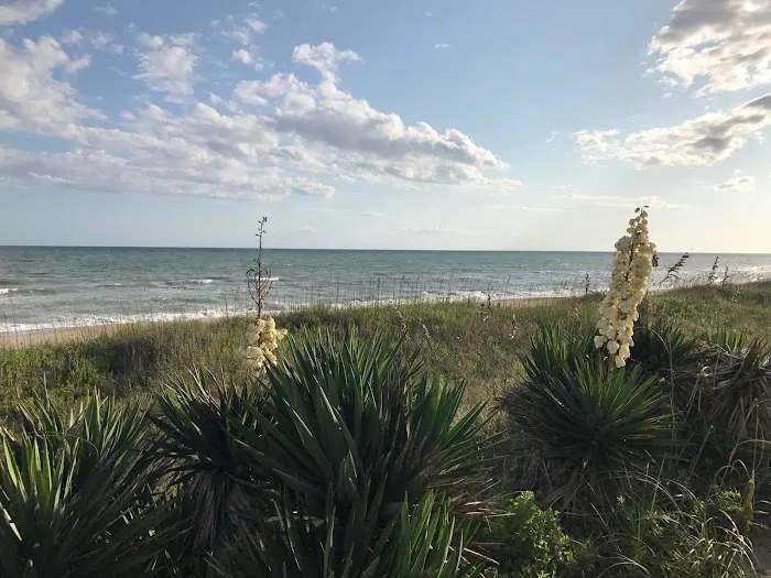 Indian Summer RV Park Picture 10