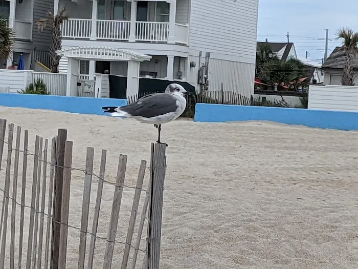 Indian Summer RV Park Picture 1