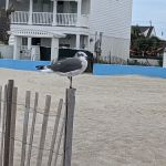 Indian Summer RV Park