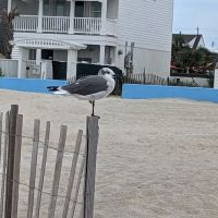 Indian Summer RV Park ico