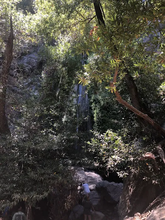 Rose Valley Campground Picture 4