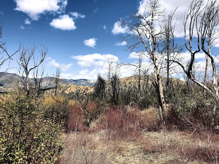 Rose Valley Campground Picture 5