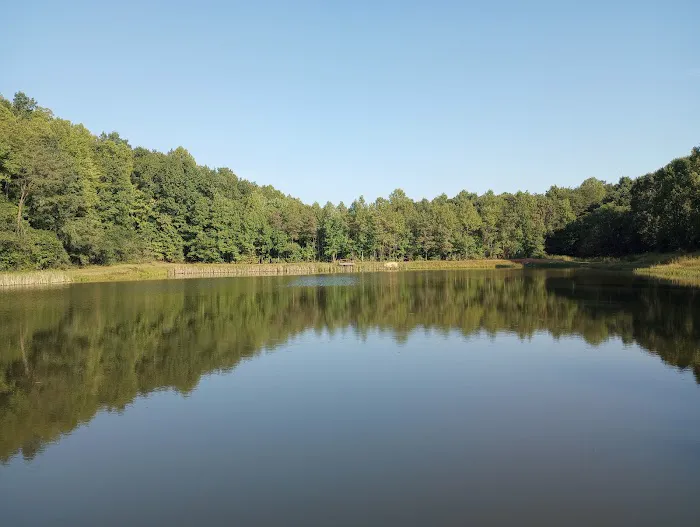 H and M RV Park Picture 2