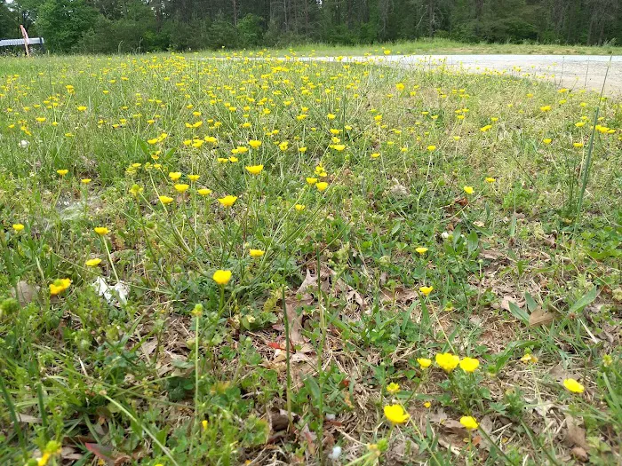 Twin Oaks Mobile Home Park Picture 4