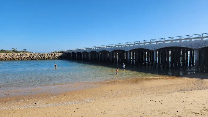 Bolsa Chica Campground Picture 10