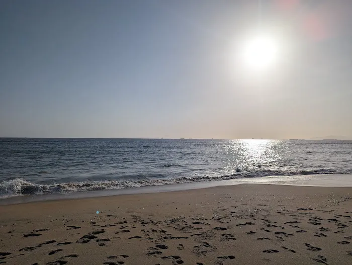 Bolsa Chica Campground Picture 3