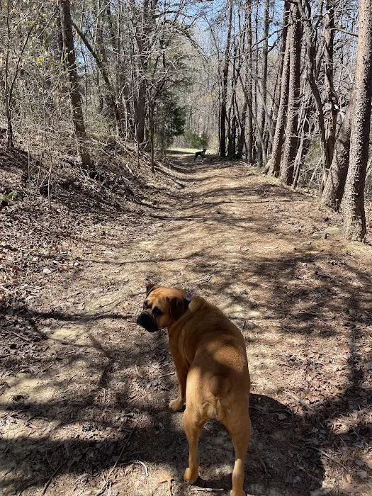 Angry Old Man RV Park Picture 5