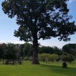 Bison Trail RV Park/Piedmont Bison Ranch