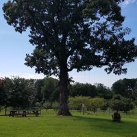 Bison Trail RV Park/Piedmont Bison Ranch ico