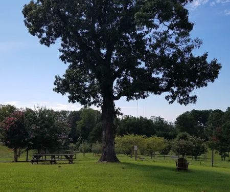 Bison Trail RV Park/Piedmont Bison Ranch