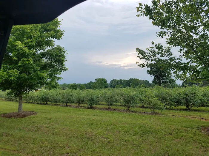 Bison Trail RV Park/Piedmont Bison Ranch Picture 7