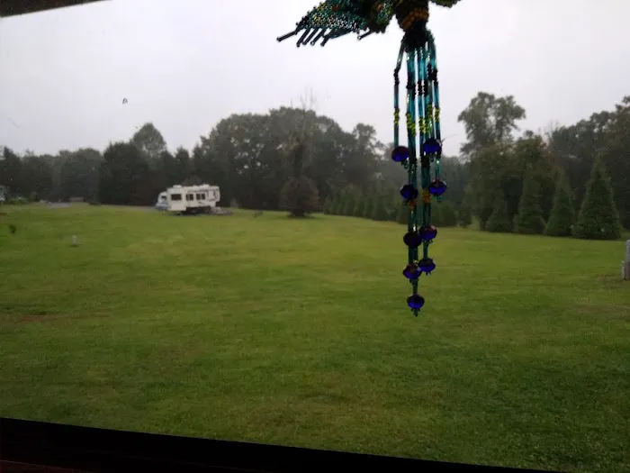 Wilson Properties and RV Park Picture 1