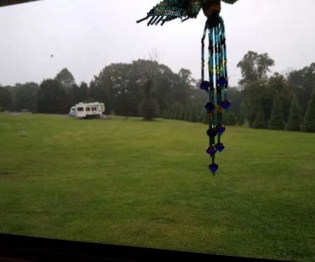 Wilson Properties and RV Park