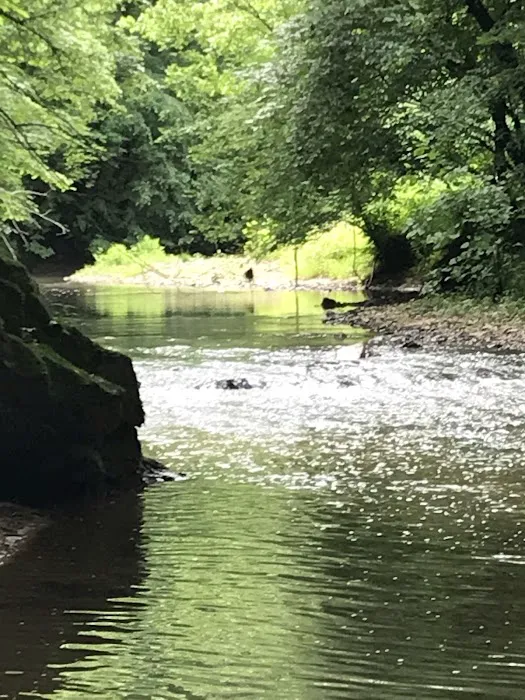 Rock Creek Village Picture 7