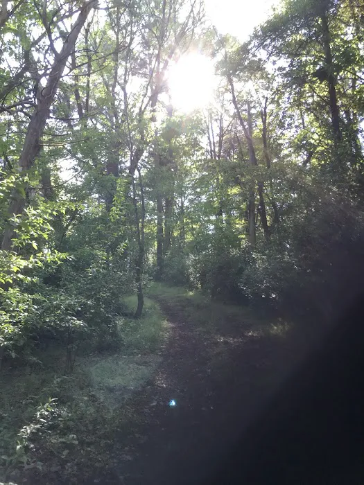 Rock Creek Village Picture 5