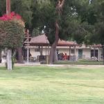 Prado Conservation Camp #28