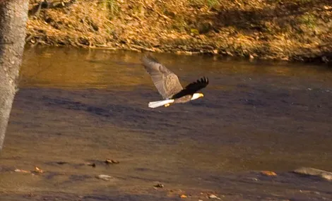 Indian Heritage RV Park Picture 4