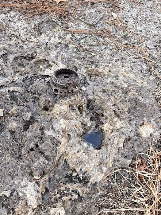 Pine Lake RV Resort Picture 6