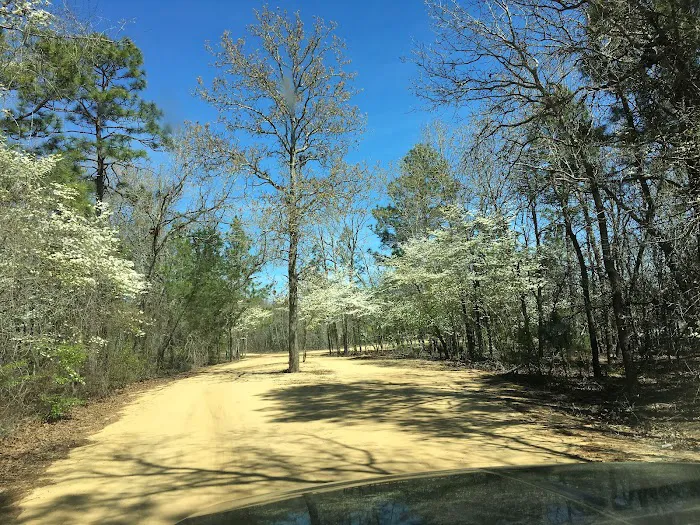 Pine Lake RV Resort Picture 8